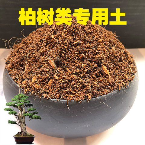 柏树土柏类土红皮珍珠柏土卷柏土太行崖柏土盆栽盆景弱酸性沙质土
