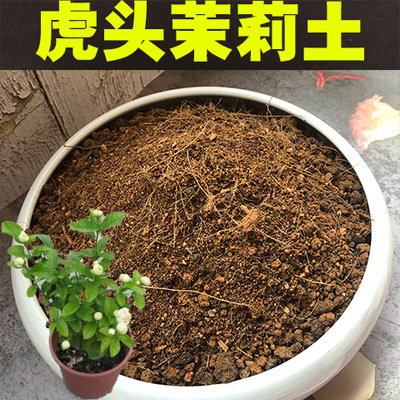 虎头茉莉专用盆栽酸性沙质营养土