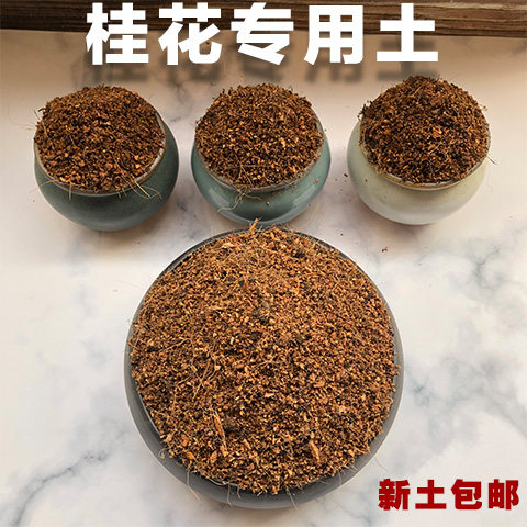 桂花盆栽专用营养土弱酸性沙质图片