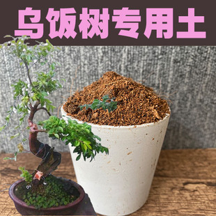 乌饭树专用土吊茄子树盆景盆栽营养土酸性沙质红土壤绿植种植肥料