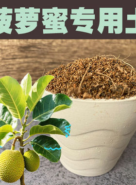 菠萝蜜土果树专用盆栽营养土