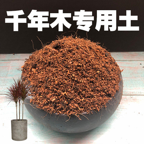 千年木土千年木专用土家用盆栽营养土酸性沙质土壤绿植种植土肥料