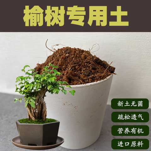 润土堂榆树土沙质土盆栽营养土