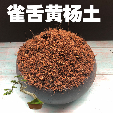 雀舌黄杨专用土雀舌黄杨土盆栽盆景土酸性沙质土壤绿植种植土肥料-封面