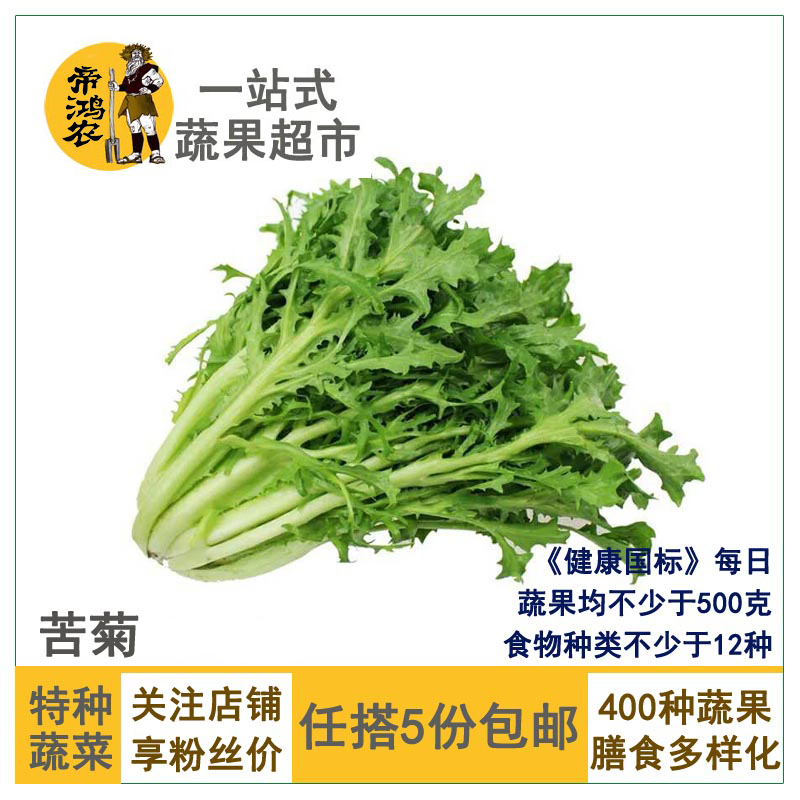 [Let's take 5 pieces.]Bitter Ju Endive Bitter herbs Lettuce Salad Fresh vegetablesin the Aquatic meat/Fresh fruits and vegetables/Cooked , Fresh vegetables/Vegetable products , Fresh vegetables , Vegetable Salad category - from Buy2taobao.com to provide professional Taobao agent buy service