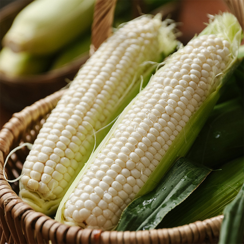 鲜甜玉米 圣甜爱菲/北海道牛奶玉米 爆浆多汁生熟均可带壳