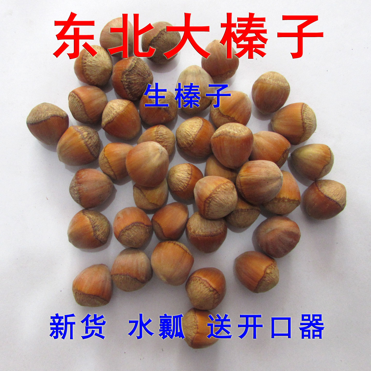 东北大榛子生榛子新货