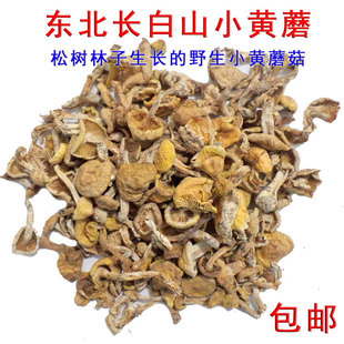 东北野生小黄蘑松树林子小黄蘑菇干货菌菇山珍特产黄油蘑小鸡蘑菇