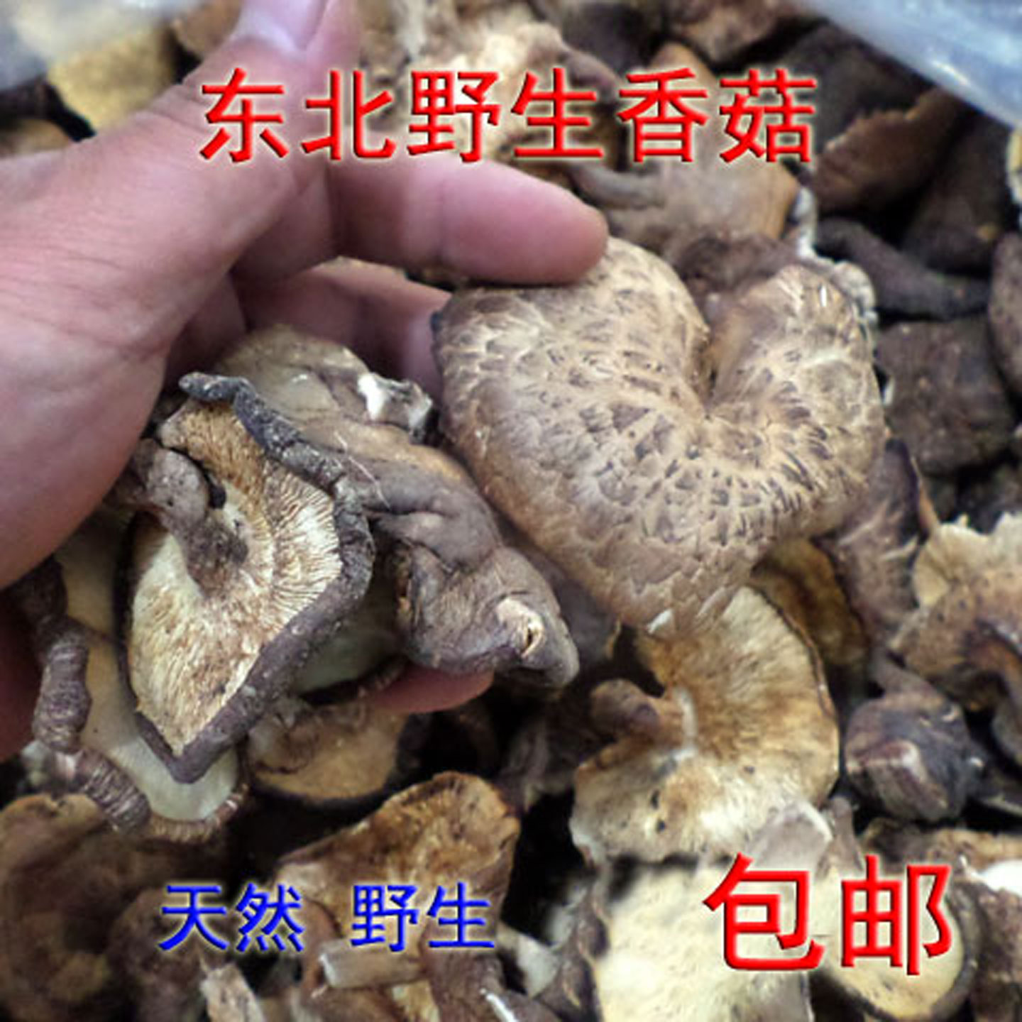 东北野生香菇长白山野生蘑菇