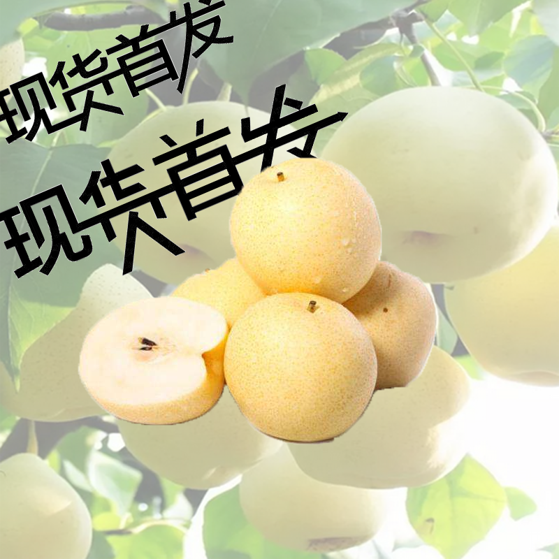 砀山新鲜雪梨皇冠梨水果砀山水晶鸭梨香梨酥梨子雪花贡梨10斤装