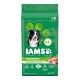 IAMS food Adult Protein 美国直邮 Dog High Dry 高蛋白干狗粮