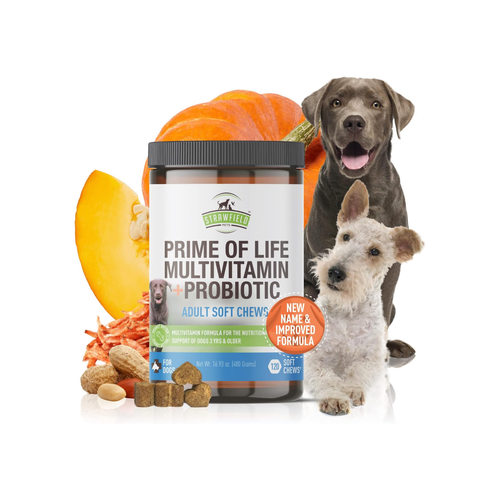 美国直邮 Strawfield Pets Dog Multivitamin 狗多种维生素益生菌
