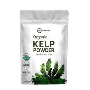 Powder Kelp 有机海带粉 Organic 美国直邮MicroIngredients