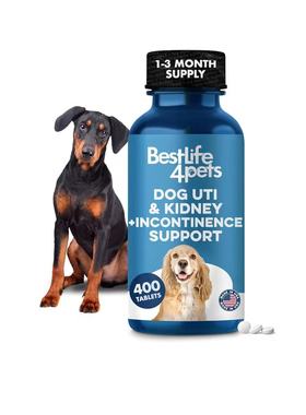 美国直邮 BestLife4Pets Dog UTI Kidney 犬泌尿道感染肾脏支持剂