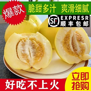 2026 山东头茬现摘星甜20甜瓜小蜜蜂甜瓜蜜罐甜瓜新鲜水果香瓜5斤