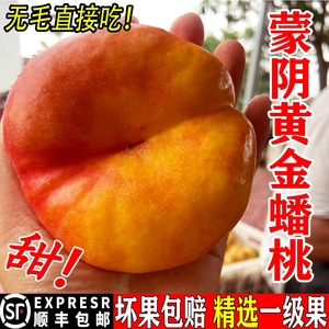 蒙阴彩虹黄油蟠桃黄蟠桃新鲜时令水果山东黄油桃孕妇整箱脆甜爆汁