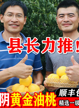 山东蒙阴黄油桃新鲜水果当季应季桃子脆甜黄桃黄金油桃整箱孕妇
