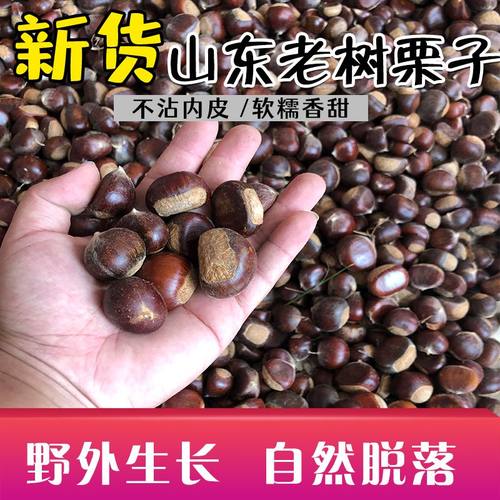 板栗生新鲜油栗现摘五莲山生板栗甜糯栗子老树油栗新栗子好去内皮