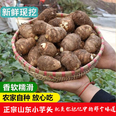 2025芋头山东小芋头新鲜蔬菜农家毛芋头香芋芋艿非荔浦芋头3/5斤