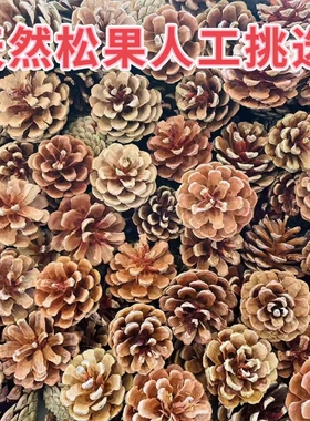 天然松果DIY松塔干树枝原木干花幼儿园手工环创布置装饰挂饰材料