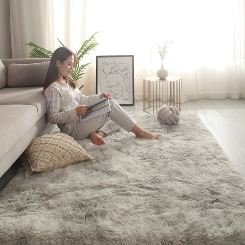 Plush Fuzzy Rugs for Living Room, Bedroom Indoor Carpet Mats
