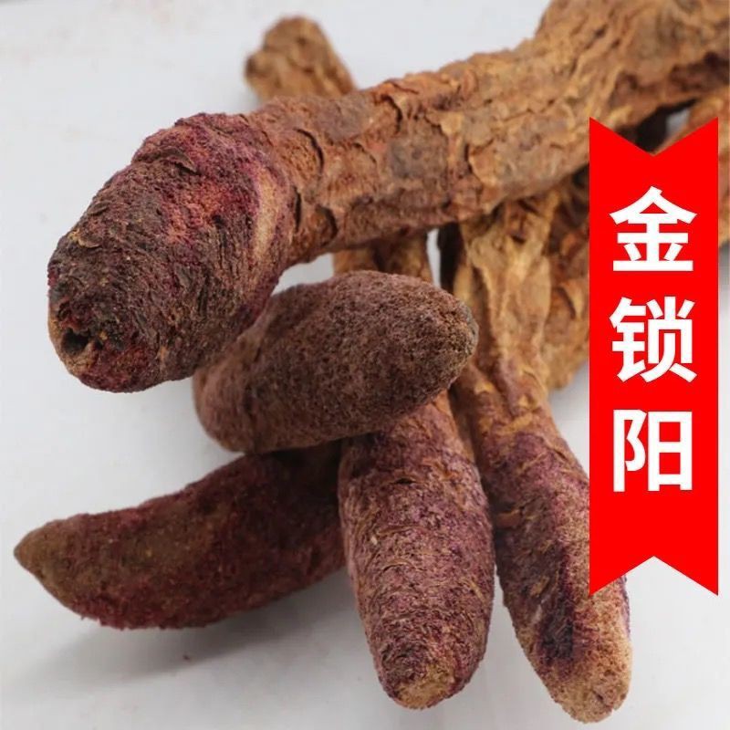 正品金锁阳沙漠双雄之一男性养生专用搭配肉苁蓉泡水煲汤炖肉男肾