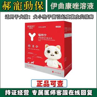 汉肤欣同款喵特宁伊曲康唑口服液宠物猫癣狗真菌猫藓皮肤病内服药