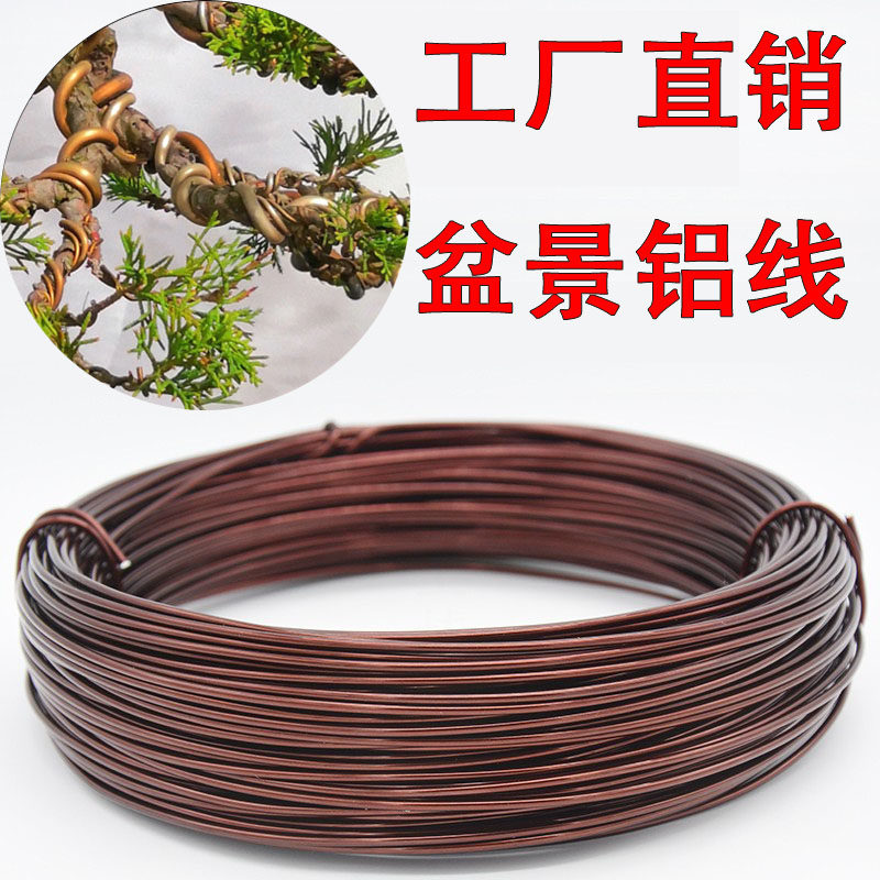 花卉定型铁丝植物塑形多肉固定金枝玉叶造型园艺盆景绑花弯树扎丝,鲜花速递/花卉仿真/绿植园艺,花艺材料,淘宝优惠券,粉丝福利购,淘宝优惠卷