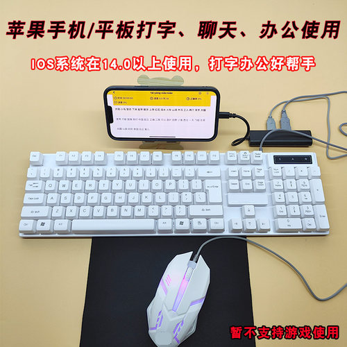 苹果手机平板练打字ipad办公聊天