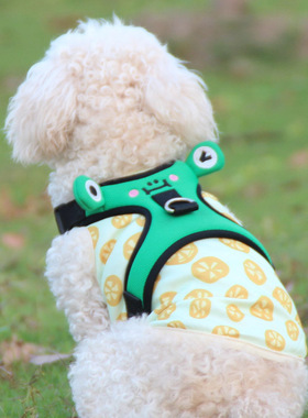 宠它青蛙狗狗胸背带小型犬可爱宠物牵引绳背带式遛狗绳泰迪柯基