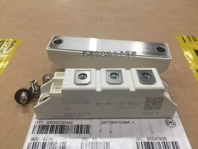 SKKD100/16 SKKD81/16 SKKD81/18 SKKD81/14 SKKD81/12