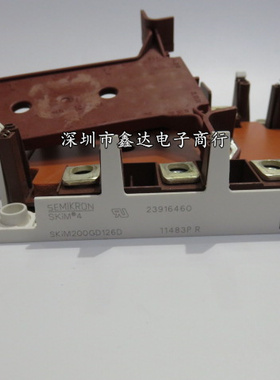 SKIM304GD12T4D SKIM300GD126DL SKIM250GD128D SKIM200GD126D