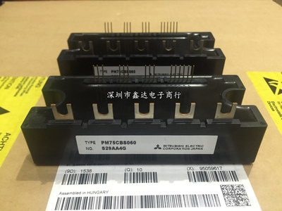 PM150CBS060 PM100CBS060 PM75CBS060 PM200CBS060 PM300CBS060包