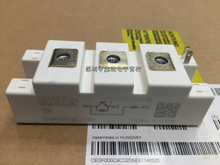 SKM145GAL176D SKM195GAL124D SKM145GB123D SKM75GAL123D 100GAL