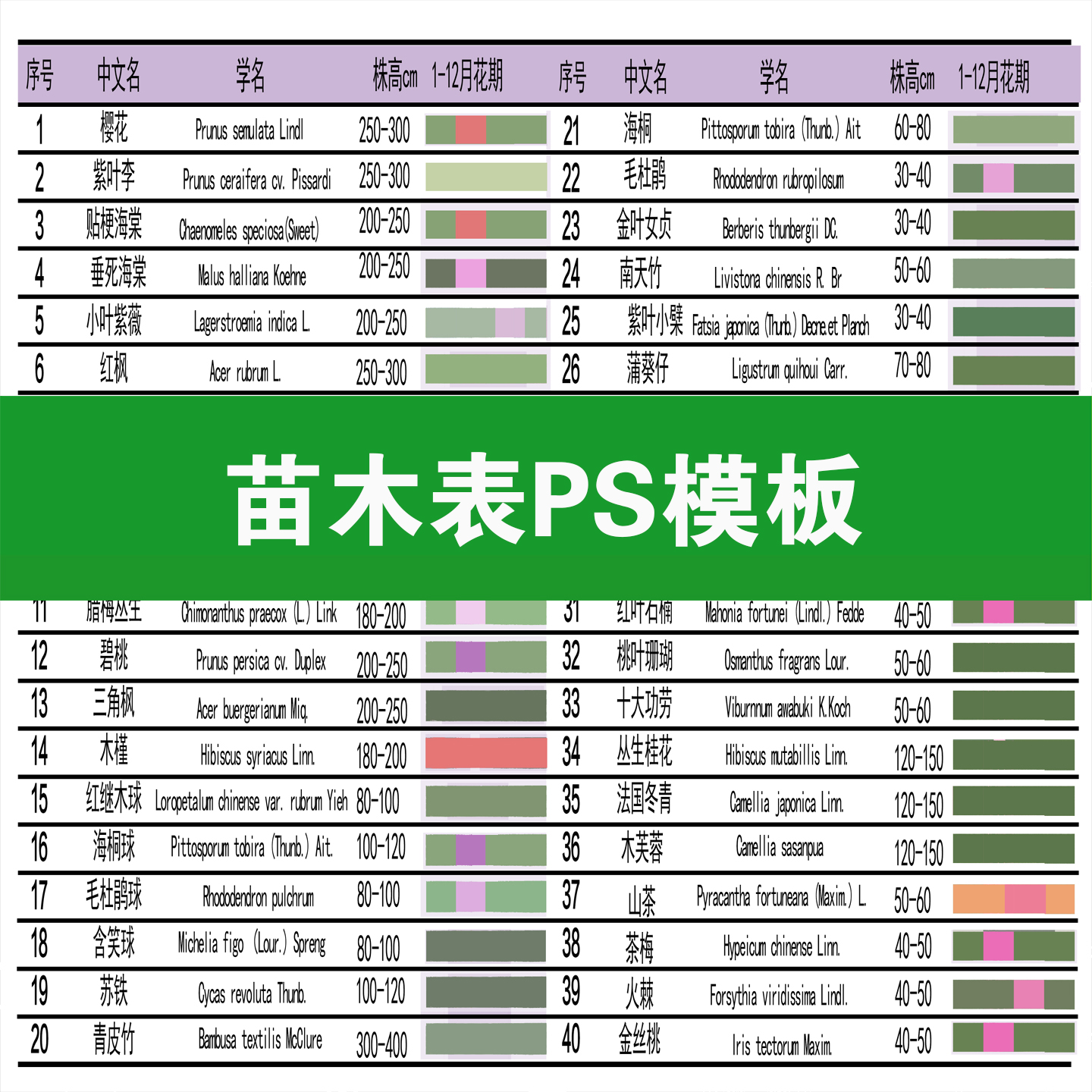 苗木表PS模板花镜花海庭院植物PSD源文件配置图园林景观种植设计