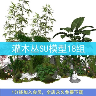 新中式日式民宿茶室庭院植物灌木丛草丛景观小品su草图大师模型