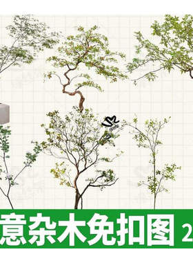 小杂木禅意植物庭院PNG造景树木日式中式石斑木造型psd免扣图ps