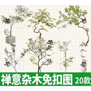 小杂木禅意植物庭院PNG造景树木日式中式石斑木造型psd免扣图ps