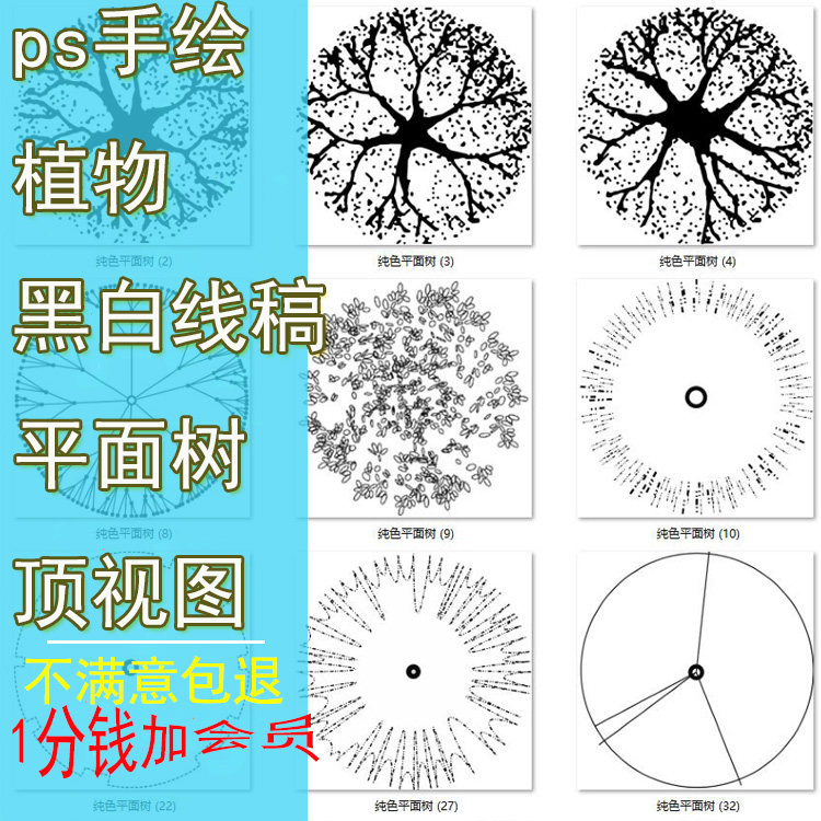 ps手绘植物黑白线稿平面树顶视图
