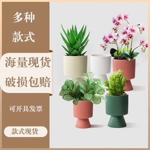 高级感陶瓷花盆大号蝴蝶兰套盆红掌彩叶芋客厅办公室绿植专用花盆