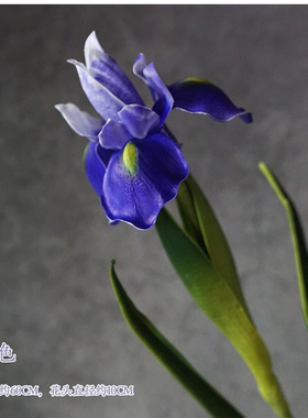 仿真爱丽丝 PU手感鸢尾花 紫黄白色假花绢花爱丽斯装饰花