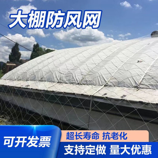 大棚防风盖垛网货物种植养殖大棚压膜网尼龙绳大孔绳网封车防坠网