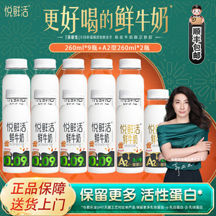 君乐宝悦鲜活牛奶260ml*9瓶+A2型260ml*2瓶低温奶营养学生早餐奶