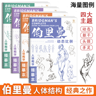 伯里曼人体教学描摹本 4册套装 人体结构描摹本练习册速写书