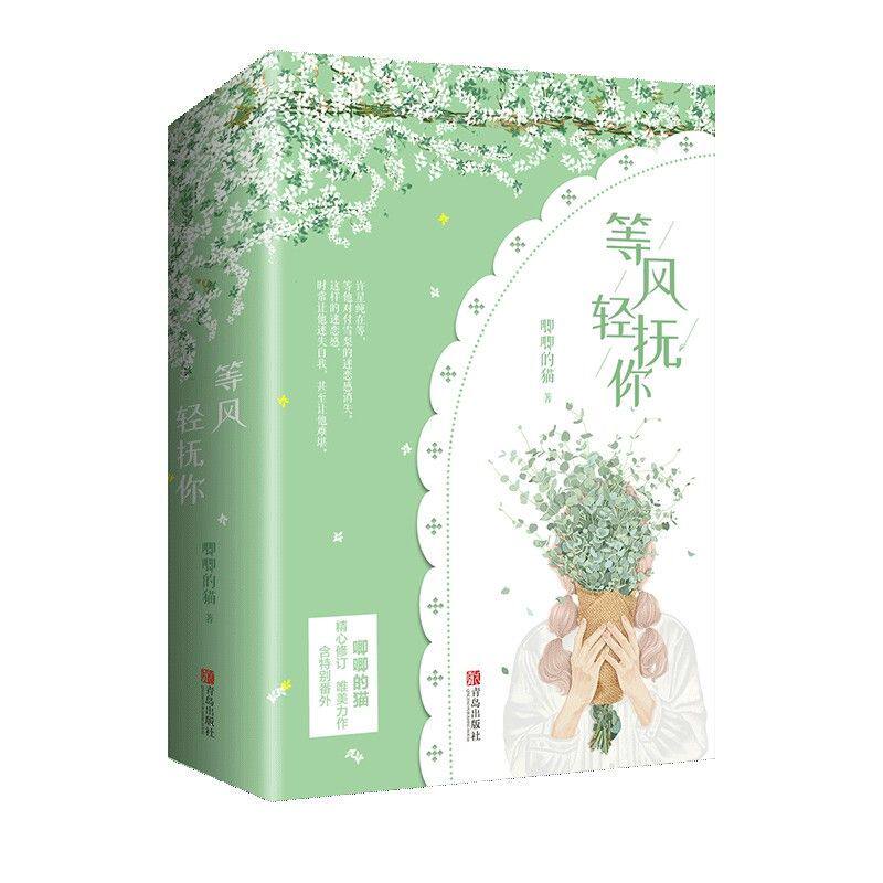 正版实体书现货等风轻抚你(上下)励志爱情小说少年心动一生相许，许星纯的爱浓烈又有破坏性，只有付雪梨承受得起，也只有她配得上怎么看?