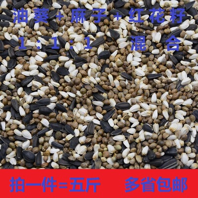 麻子油葵红花籽三合一火麻子鸽子