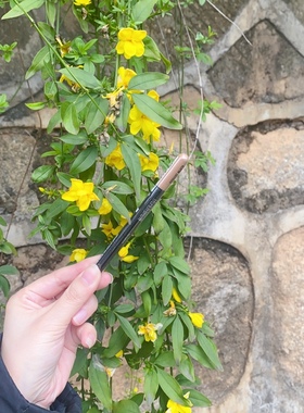 美宝莲双头多用塑型眉笔 灰色 棕色 浅棕色 自动