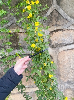 美宝莲轻松画顺滑眉笔防水防汗双头初学者 深棕 灰棕 浅棕 咖啡棕