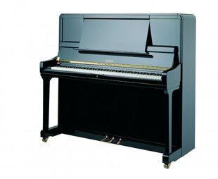 捷克钢琴品牌佩卓夫 P131M1 高端立式 家用杭州实体店 PETROF