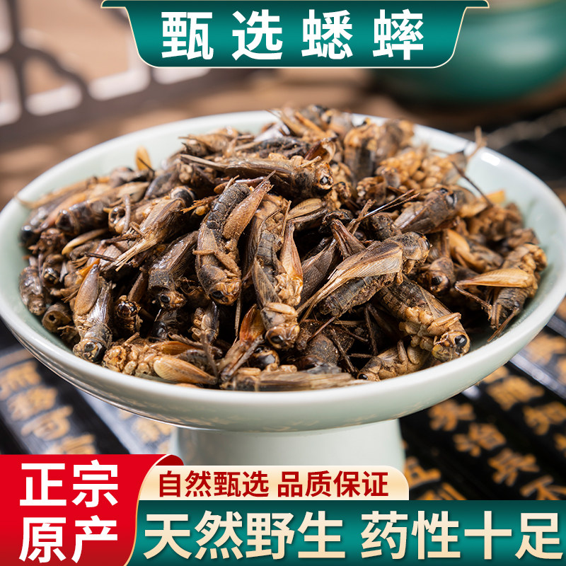蟋蟀干中药材蟋蟀蚂蚱干货蛐蛐干虫子鸣虫正品新鲜饲料将军虫冻干,传统滋补营养品,其他药食同源食品,淘宝优惠券,粉丝福利购,淘宝优惠卷